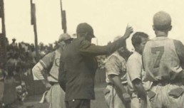 Caballo de los Árbitros historias béisbol cubano