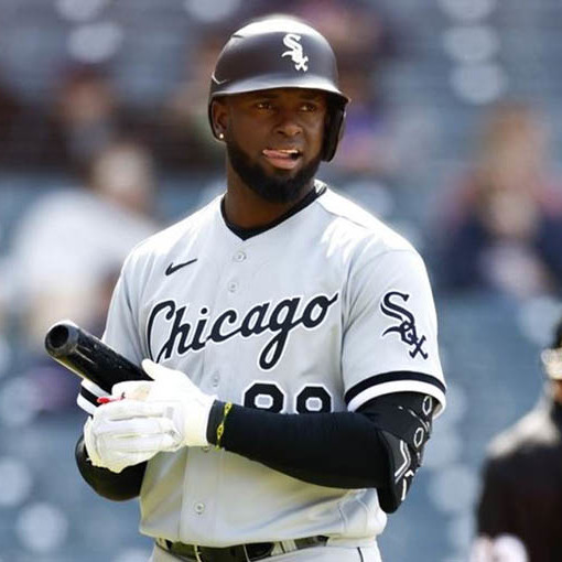 Luis Robert Jr.